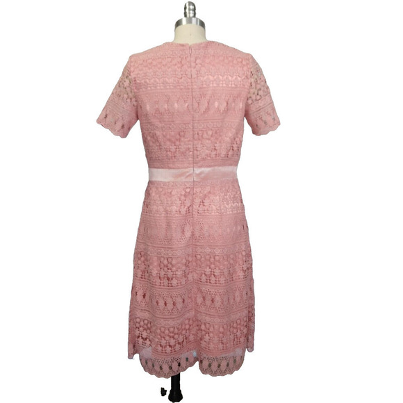 Rachel Parcell Pink Lace Sheath Dress Size S Velvet Coquette Crochet Pencil - Picture 6 of 10